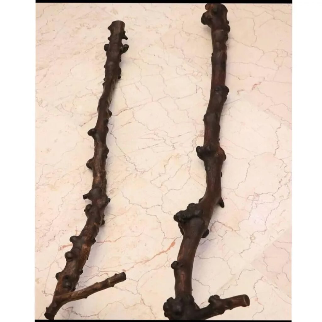 Canne ethnique persane – Style derviche iranien