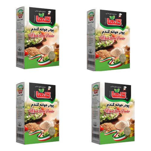 Poudre de germe de blé iranien séché – 200g (x4)