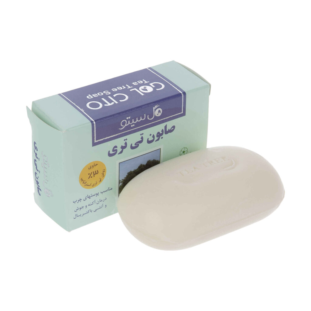 Savon au Théier Persan - Traitement de l'acné pour les peaux grasses et sujettes à l'acné Gol Cito (x6)