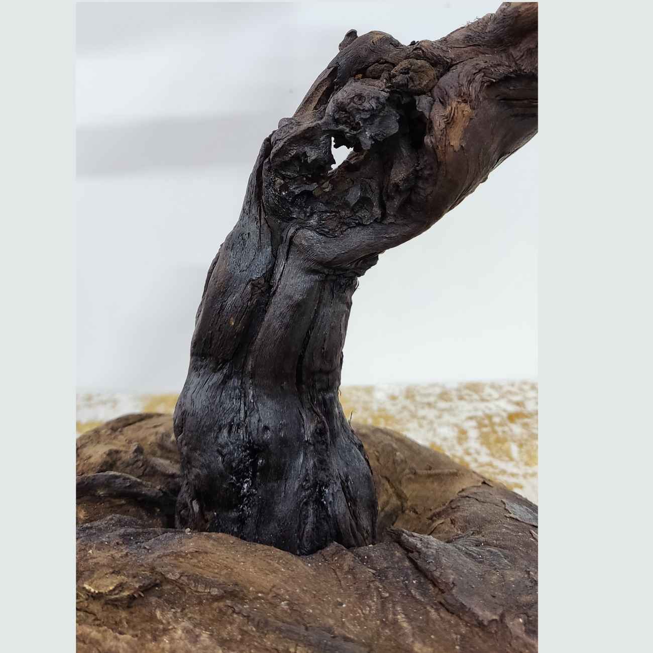 Lampe de table en bois rustique – faite main, style naturel