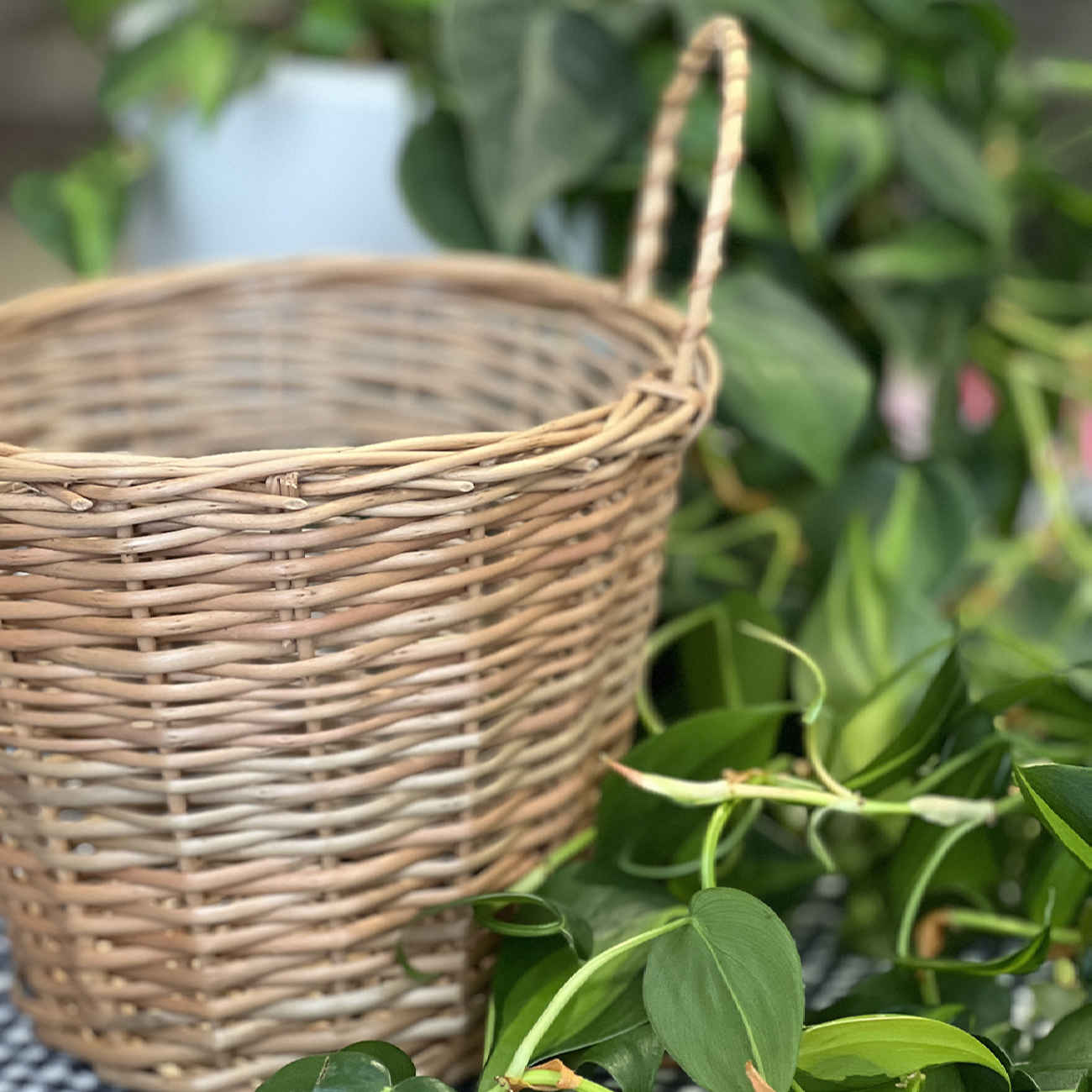 Panier en osier avec une seule poignée, tissé à la main modèle Pearl