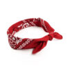 Foulard Miniature pour Femme - Design Élégant Paisley