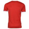 Maillot de Foot de Fan Persepolis FC - Lionne