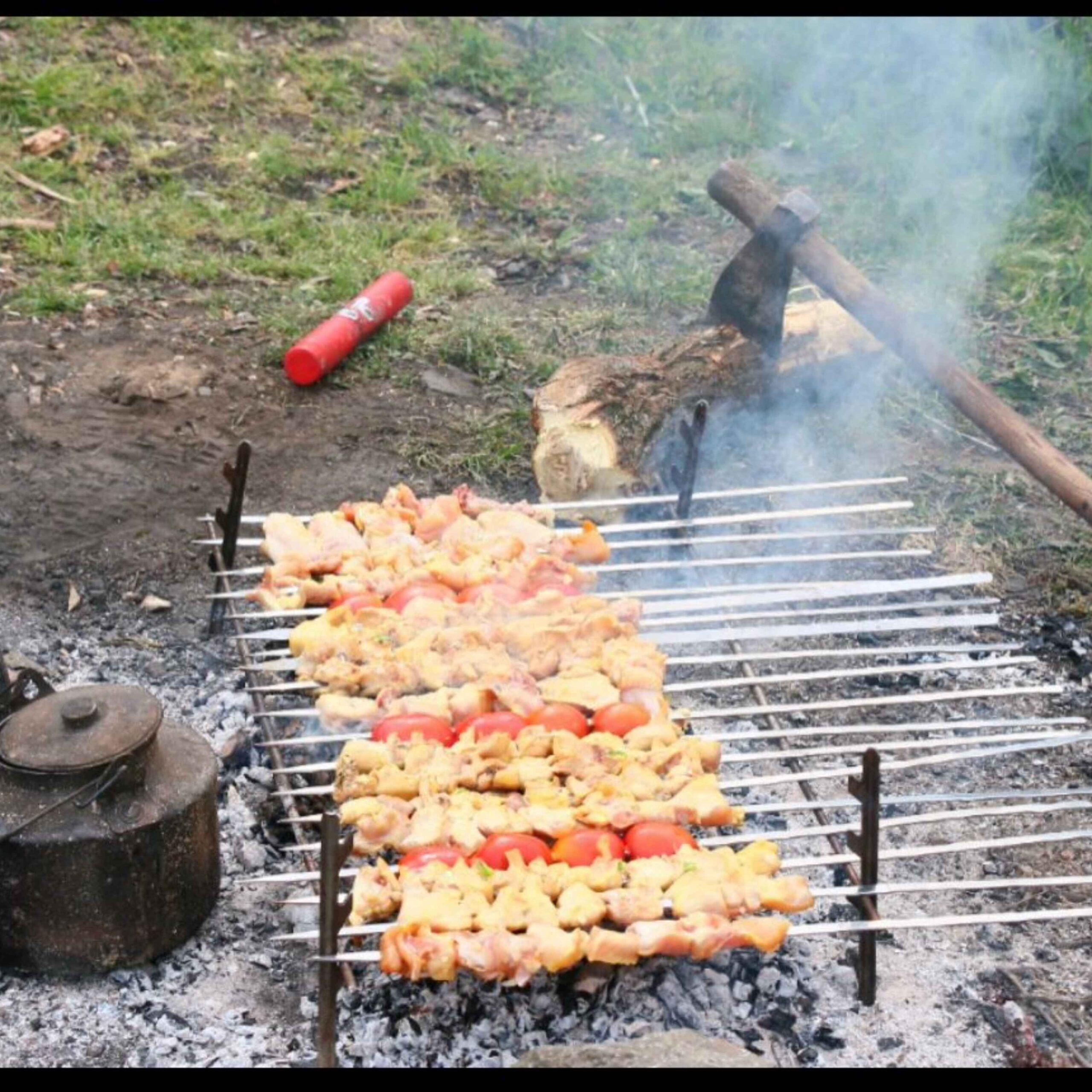 Grill de Camping Mini Portable Barbecue de Table – Légère et Taille Backpack