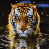 Tapis persan figuratif noué à la main de Tabriz représentant un tigre