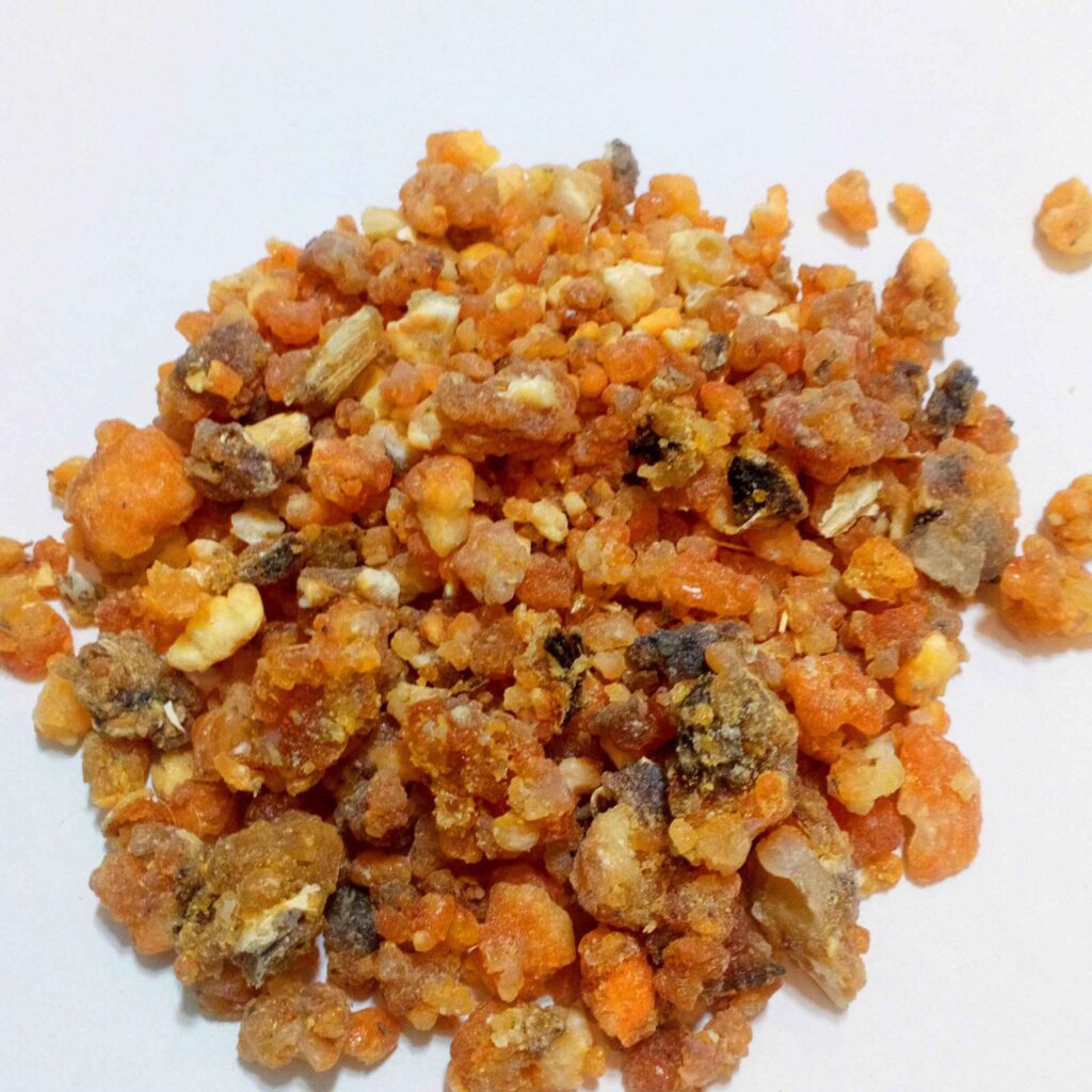 Galbanum Pur Bio à 100 % – Résine Naturelle, 100 grammes