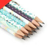 Crayons noirs premium iraniens – Boîte de 12 pour une écriture audacieuse et élégante – Qualité maître Aria