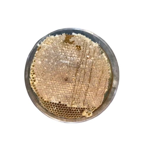 Miel Biologique d’Iran avec Cire d’Abeille Authentique (980 g)