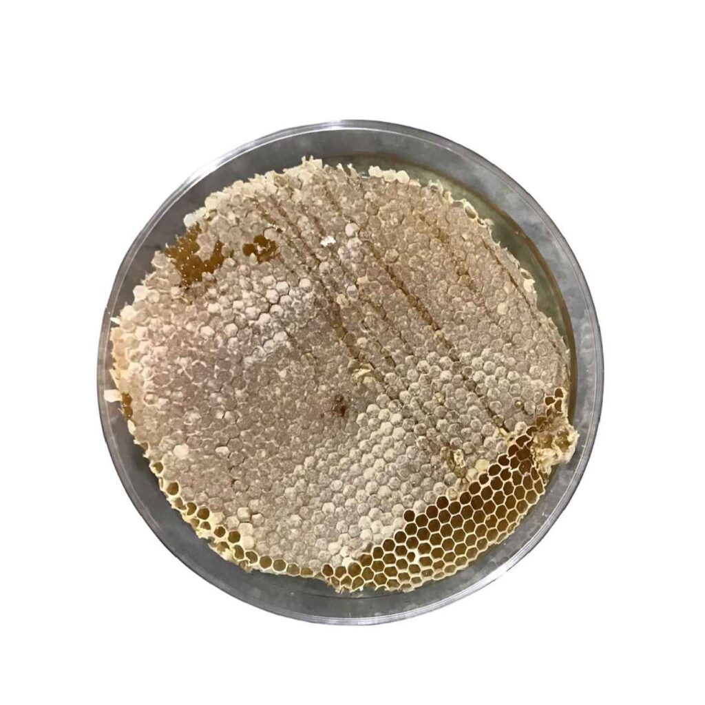 Miel Biologique d’Iran avec Cire d’Abeille Authentique (980 g)