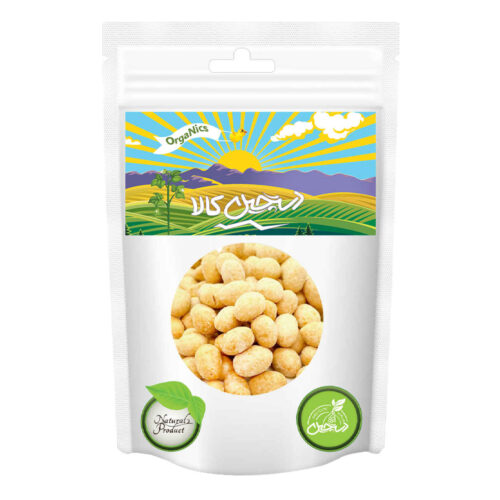 Cacahuètes grillées au goût fumé – 600 g – Dastchin Kala