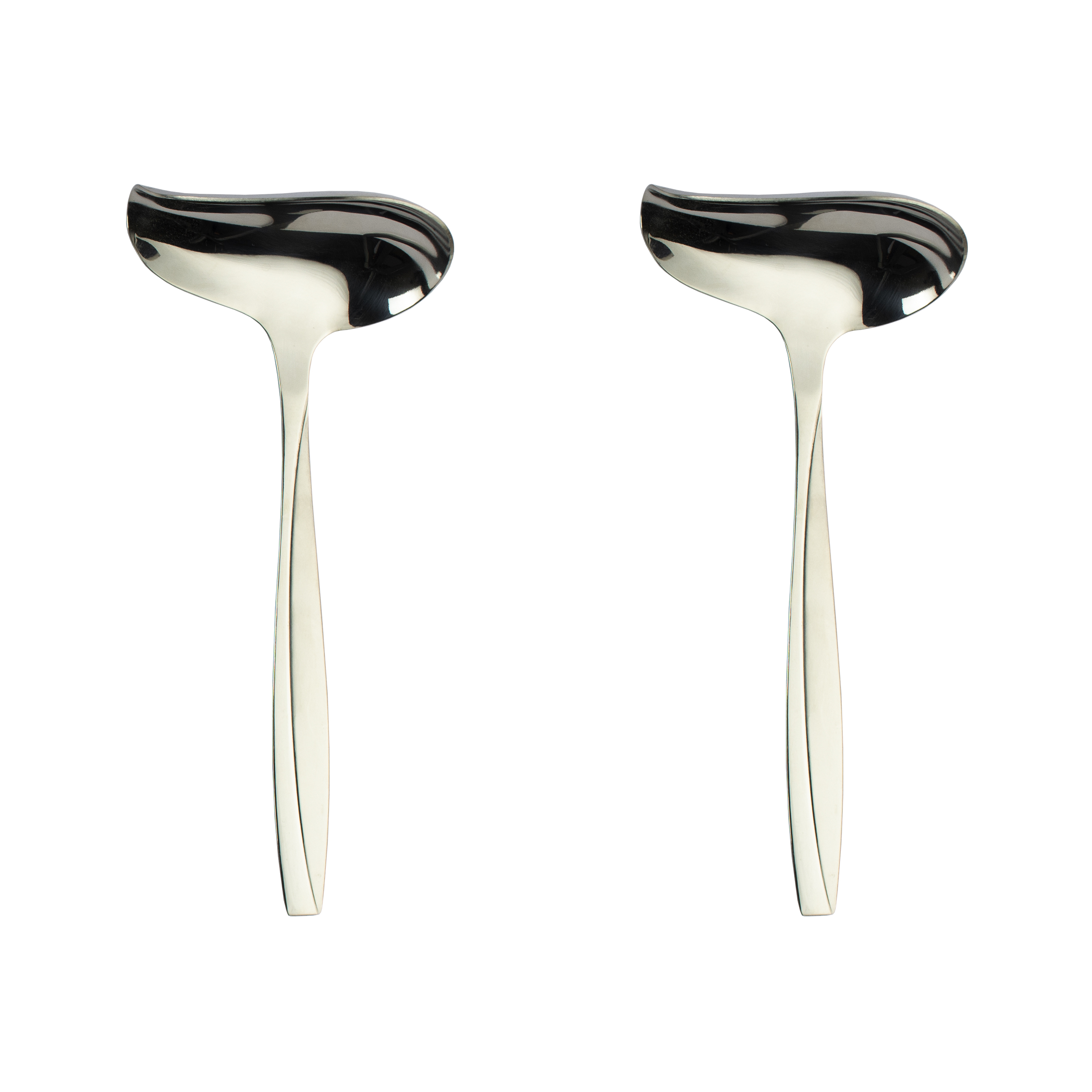 Louche en Acier Inoxydable avec Prise Confortable