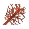 Porte-bijoux en bois original et organisateur avec design arbre