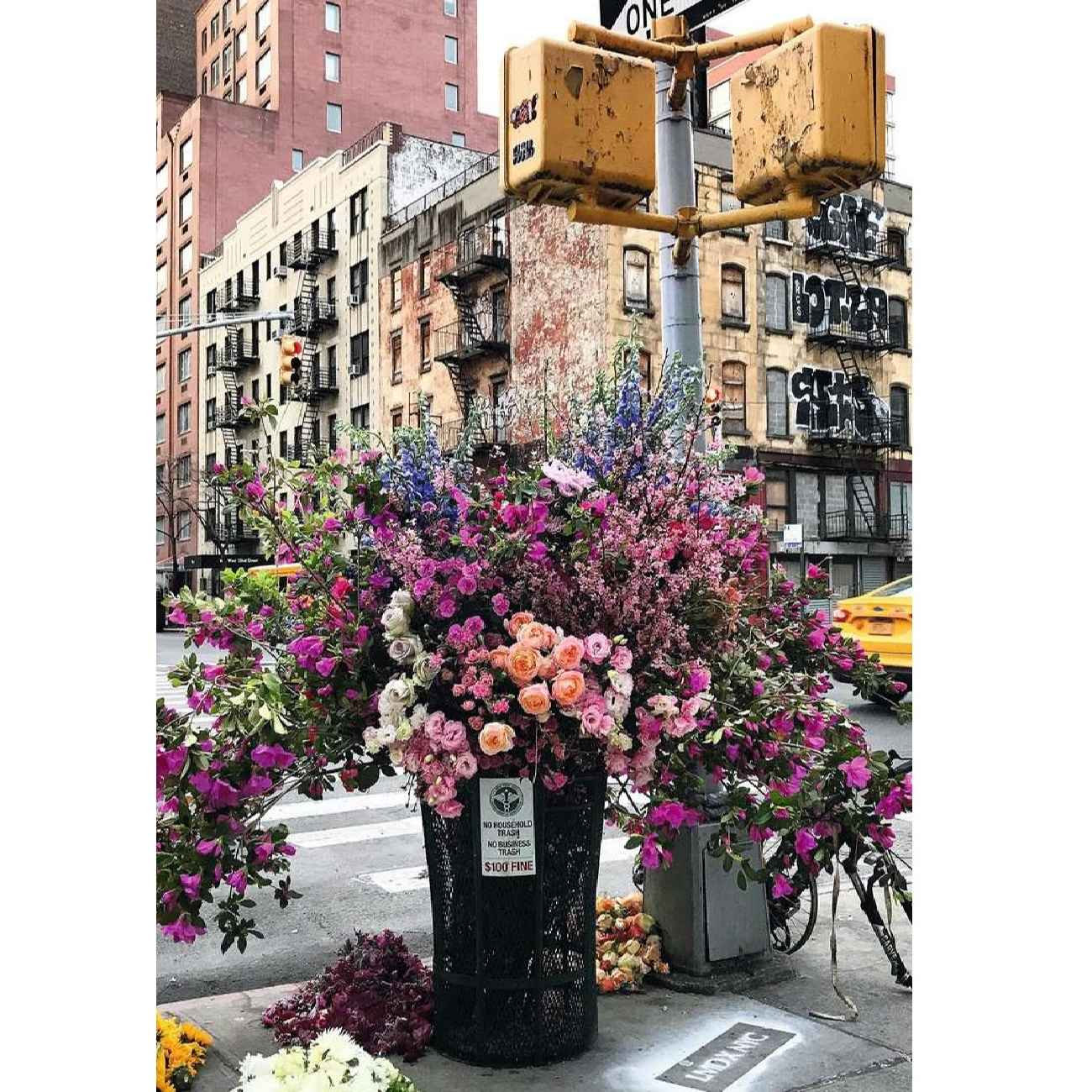 Puzzle de 300-Pièces Fleurs à New York