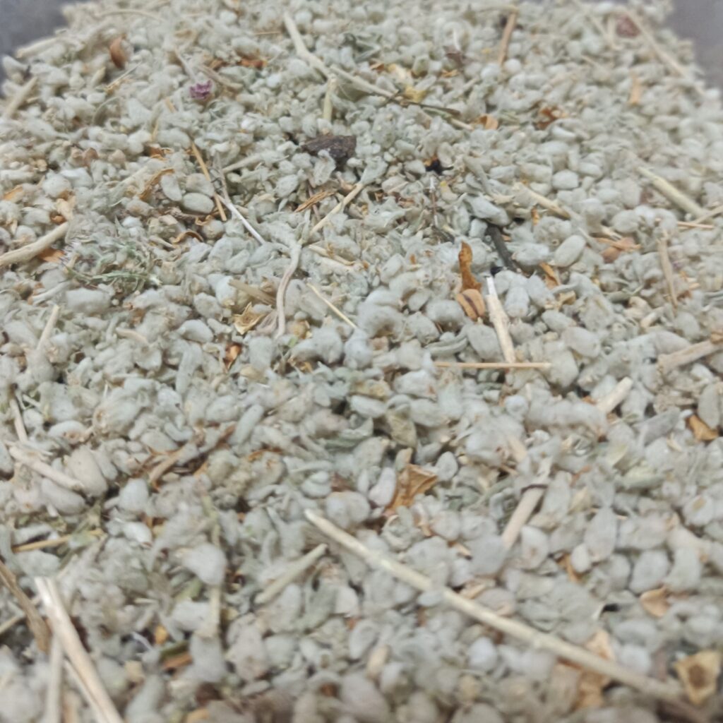 Germandier à poils séché (Teucrium Polium) – Remède à base de plantes de la nature – 500g