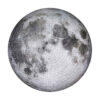Puzzle de 1000-Pièces Moonlit Pieces