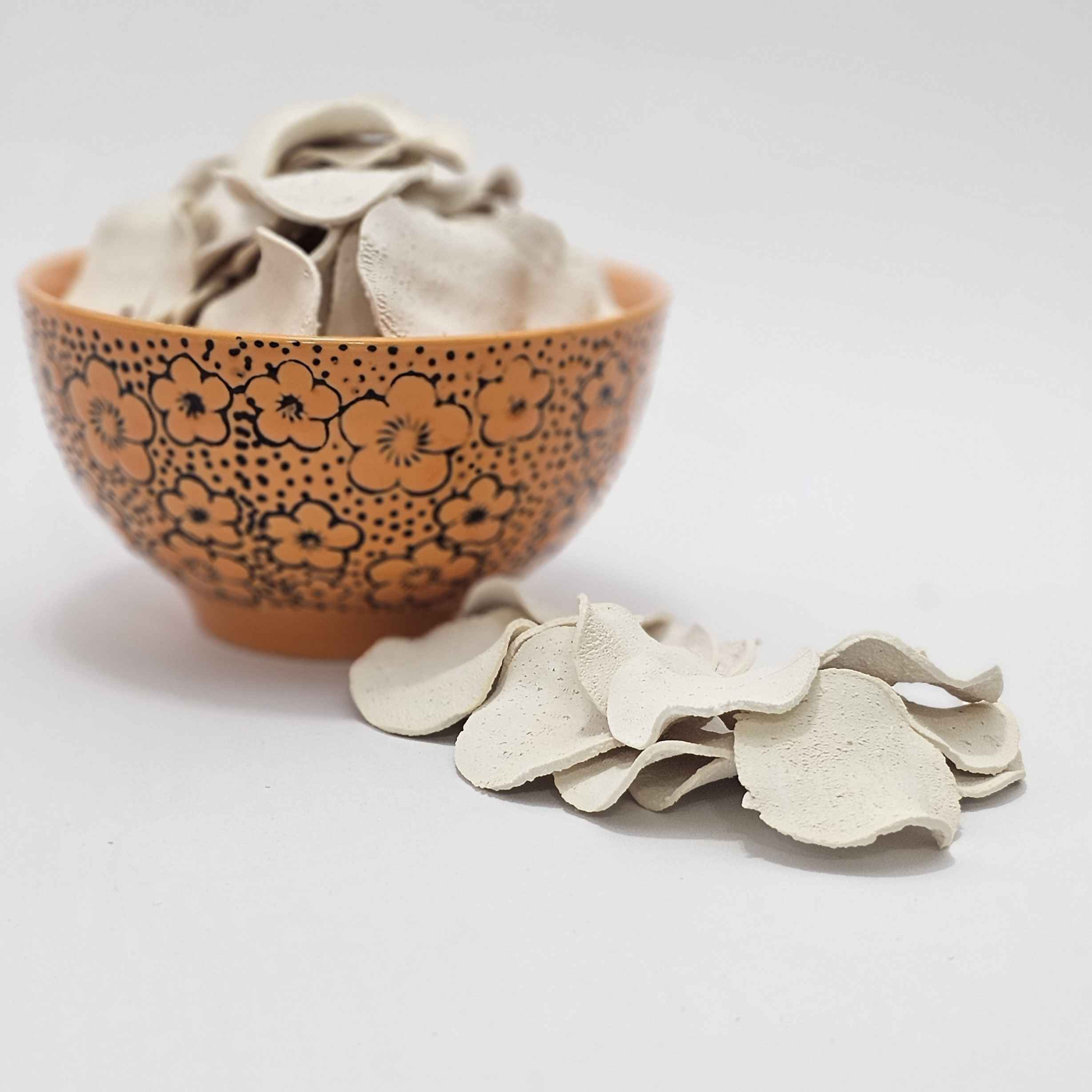 Kashk – Caillé Sec Perse au Moussir – Lot de 10 – 25g