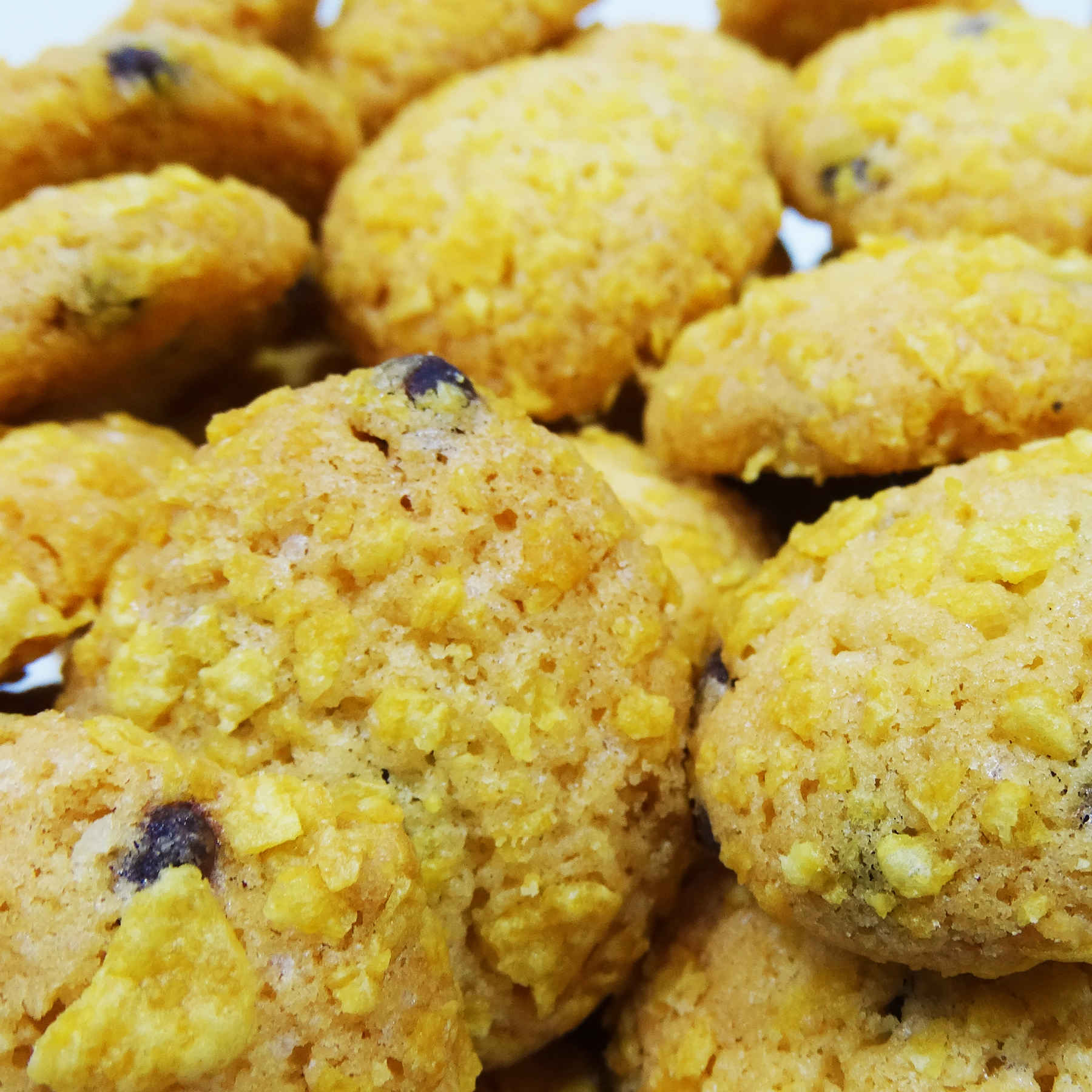 Pâtisserie Persane – Biscuit au chocolat et noix de coco de Qazvin 350g