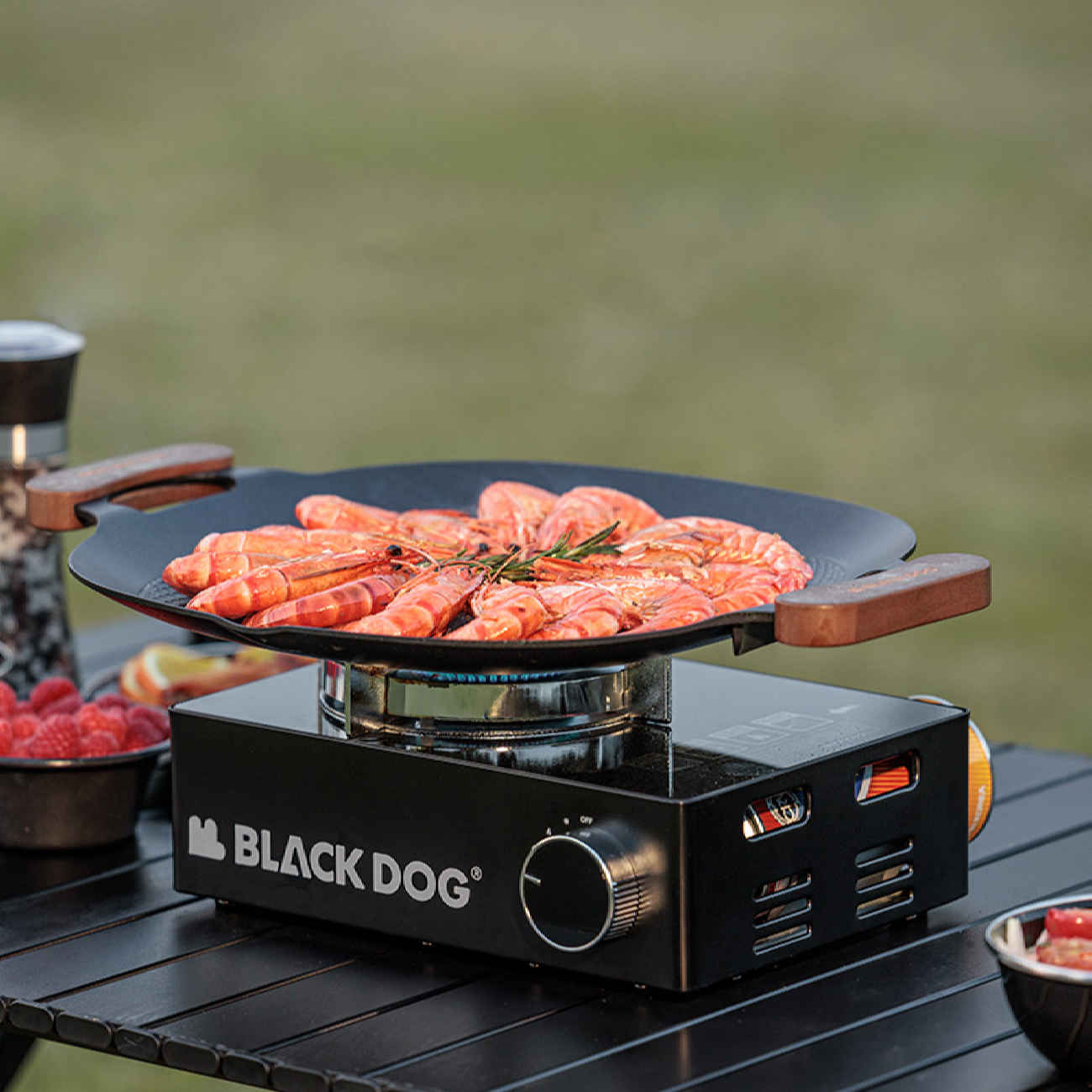 Réchaud à Camping Portable – Durable et Efficace