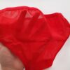 Ensemble soutien-gorge et culotte pour femmes, modèle satin printanier en rouge