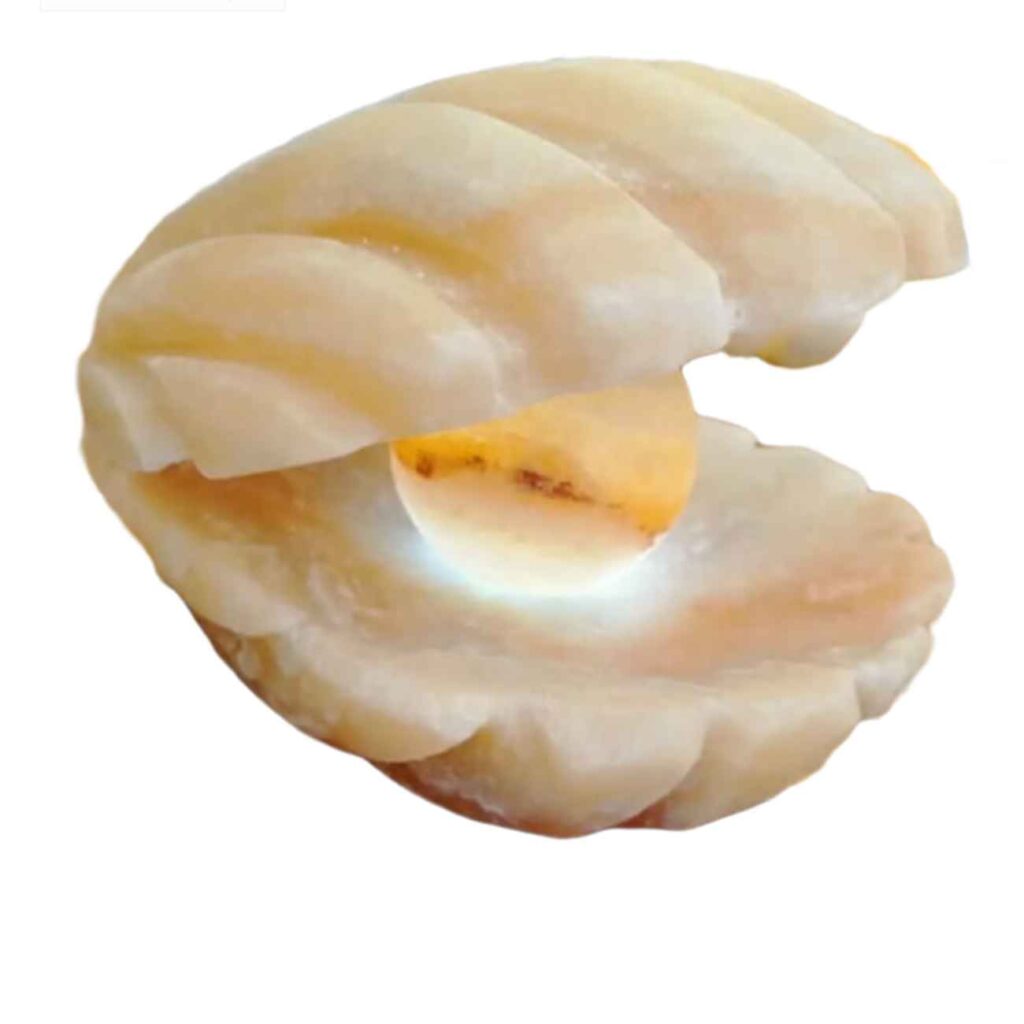 Lampe en sel persan pour bien-être naturel – cadeau idéal avec design coquillage