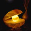 Lampe en sel persan pour bien-être naturel – cadeau idéal avec design coquillage