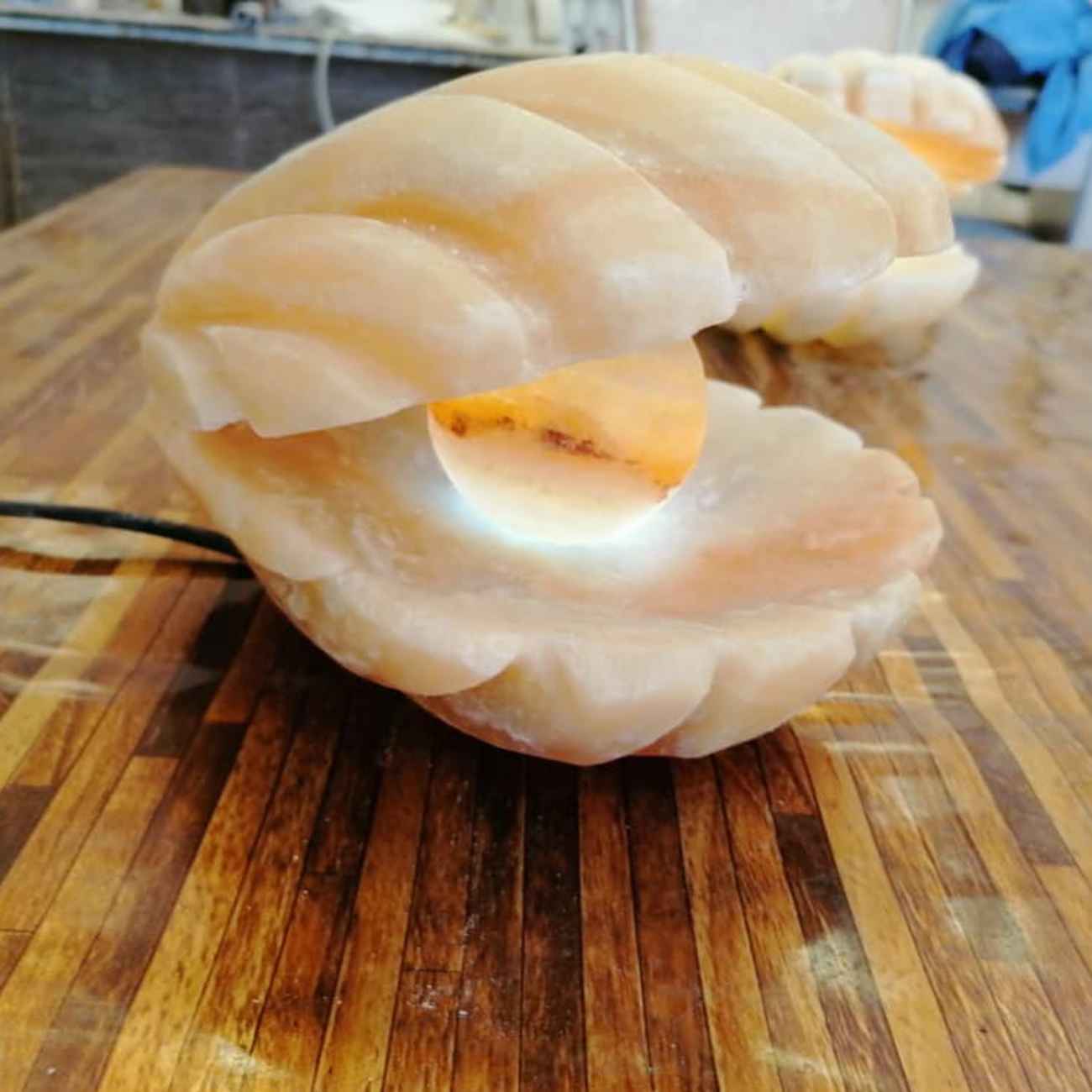 Lampe en sel persan pour bien-être naturel – cadeau idéal avec design coquillage