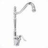 Ensemble douche et robinets chrome élégant | Modèle Rose