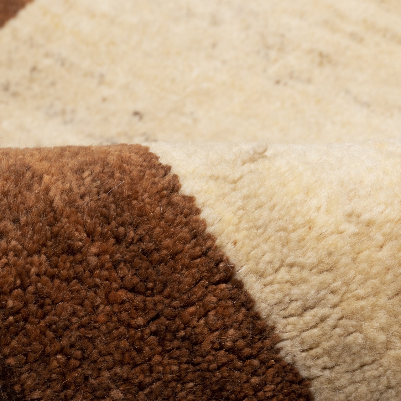 Tapis Gabbeh persan en laine tissé à la main authentique dans le Fars, motifs animaux