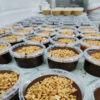 Beurre de Cacahuète au Chocolat Iranian – Sain, Délicieux et Nourrissant, 250 gr (2x)