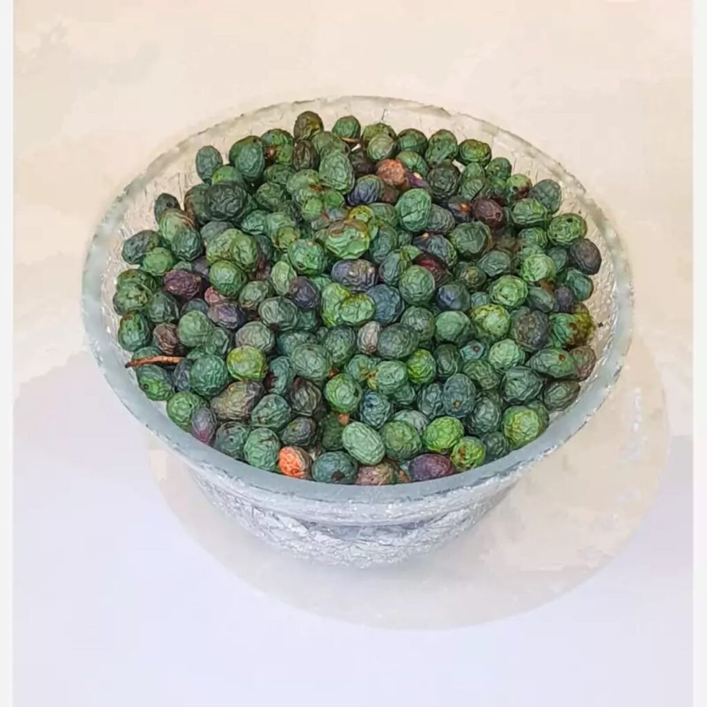 Pistaches kurdes crues – Pistaches des montagnes sauvages, Pistacia Atlantica - 1000 g