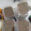 Pistaches kurdes décortiquées – Pistaches des montagnes sauvages, Pistacia Atlantica - 1000 g