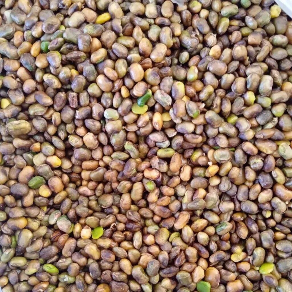 Pistaches kurdes décortiquées – Pistaches des montagnes sauvages, Pistacia Atlantica - 1000 g