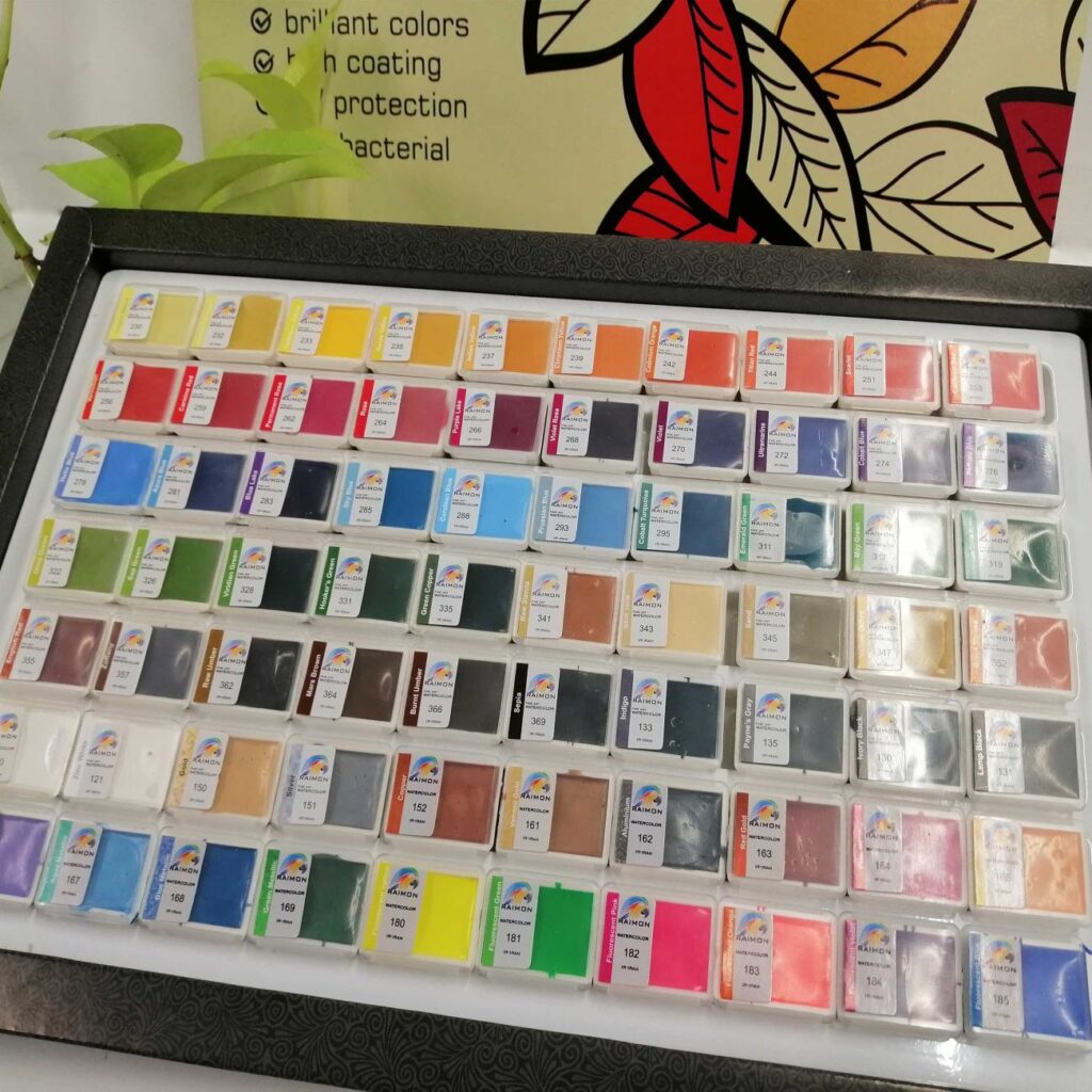 Set de 70 aquarelles Raimon – Couleurs performantes pour toute création artistique