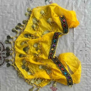 Ceinture de Danse du Ventre avec Pièces – Idéale pour les Performances de Danse du Ventre