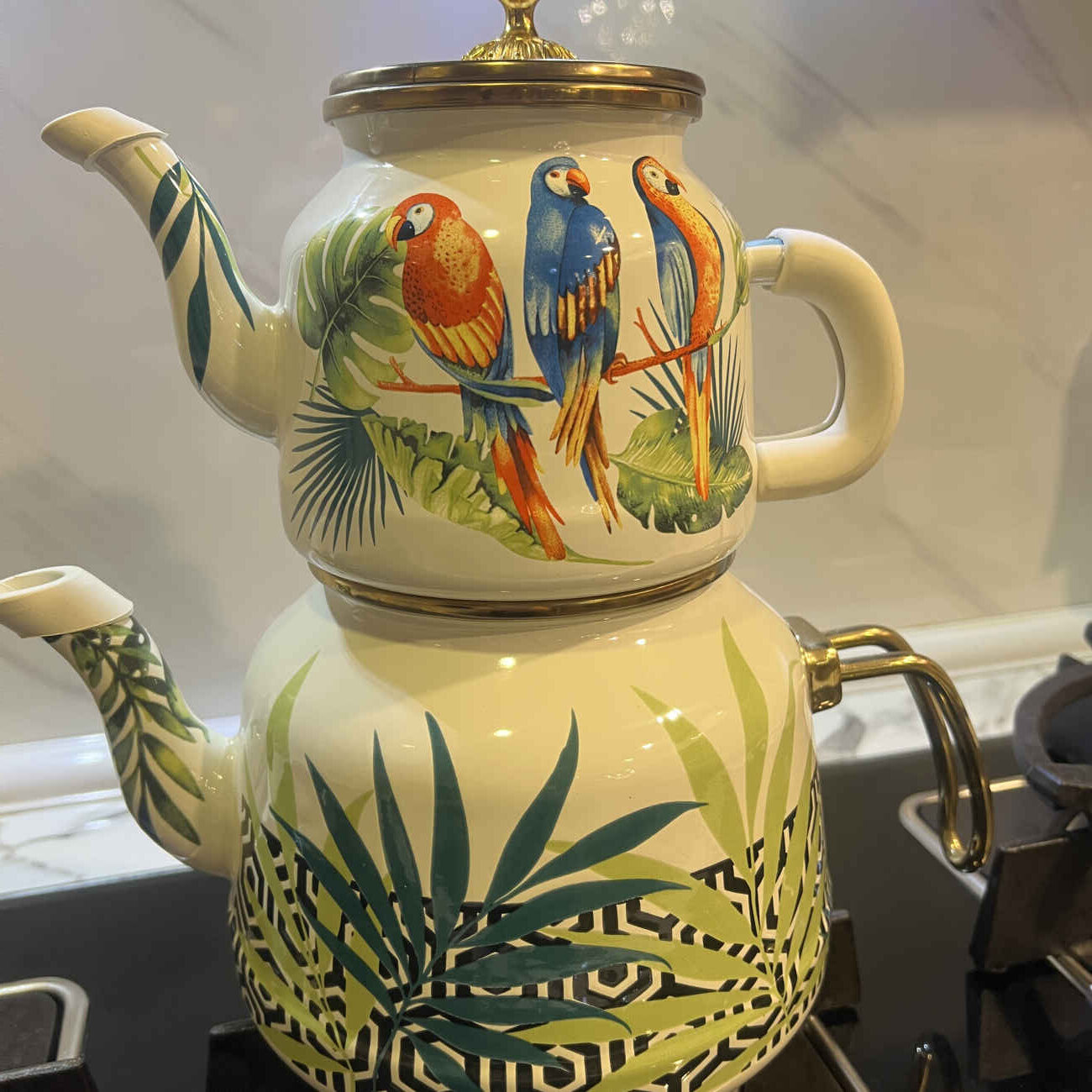 Ensemble Bouilloire et Théière en Émail Coloré – Adapté à un Usage Quotidien ou comme Décor