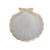 Chic Seashell Jewelry Holder for Rings and Earrings (1)