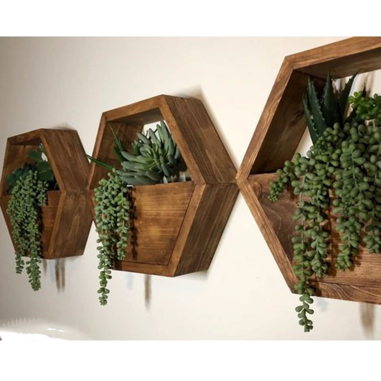 Jardinière murale en forme d’hexagone – Cactus, matériau en bois (1 pièce)