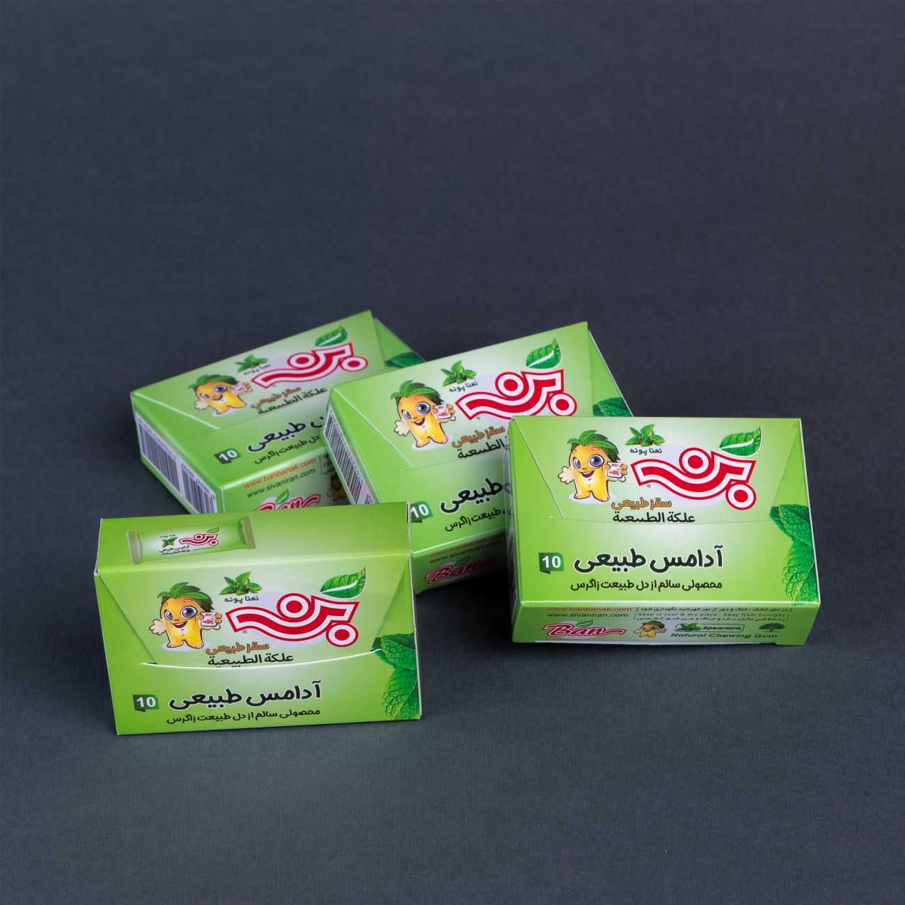 Gomme naturelle goût menthe pouliot – Paquet de 12 pièces