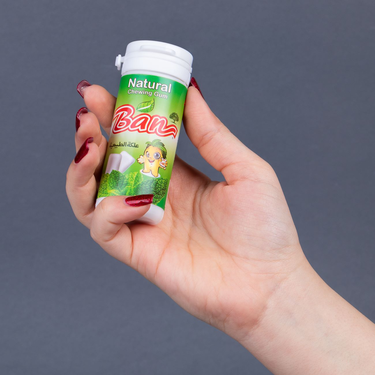 Gomme naturelle à la menthe – Idéale pour rafraîchir l’haleine à tout moment (lot de 4)