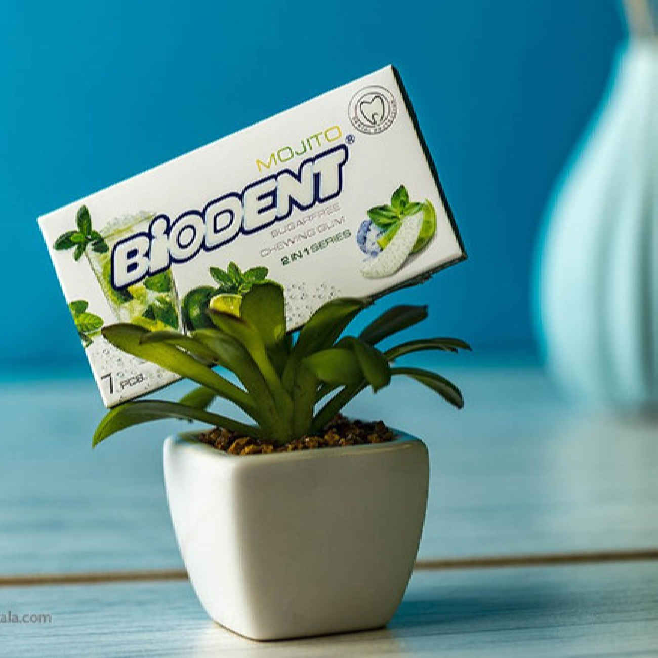 Chewing-gum sans sucre mini bâtonnets saveur mojito par Biodent (6 pièces)