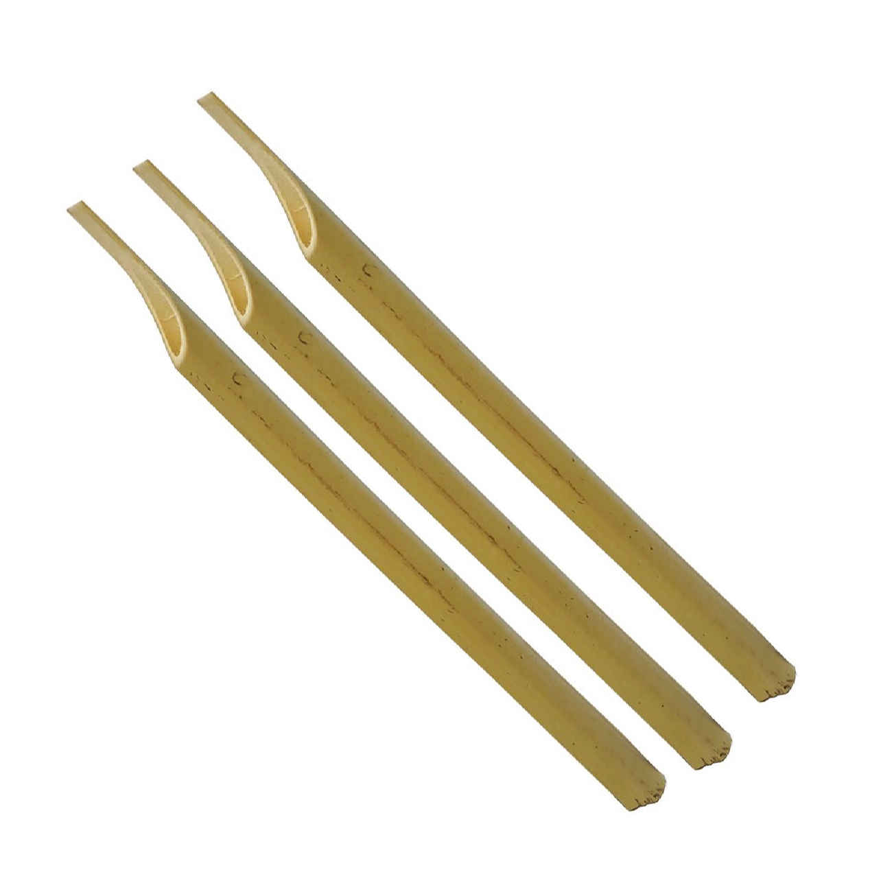 Set de plumes en roseau osseux – outil de calligraphie traditionnel, 3 pièces