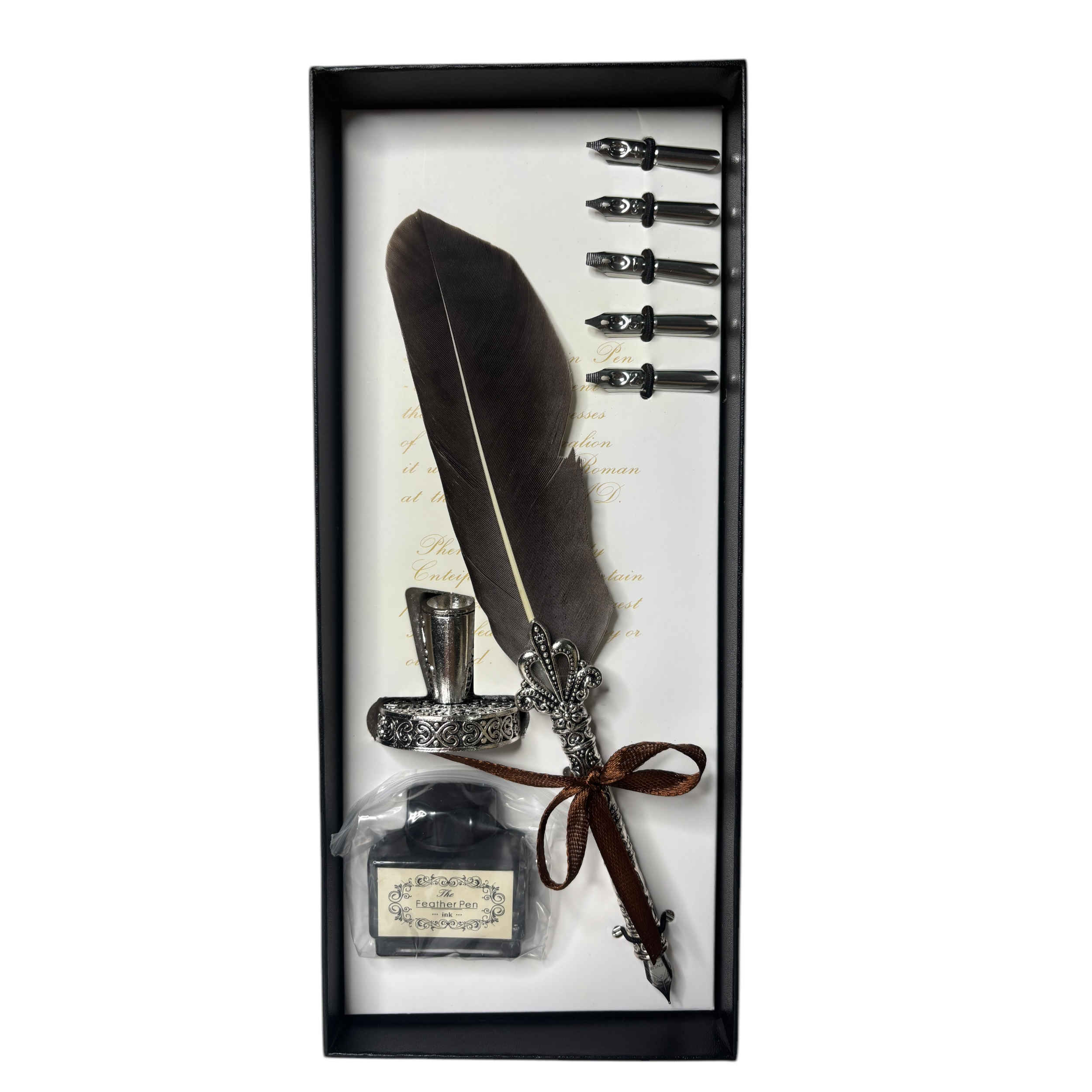 Set élégant de plumes de calligraphie pour écriture, lettres et journaux