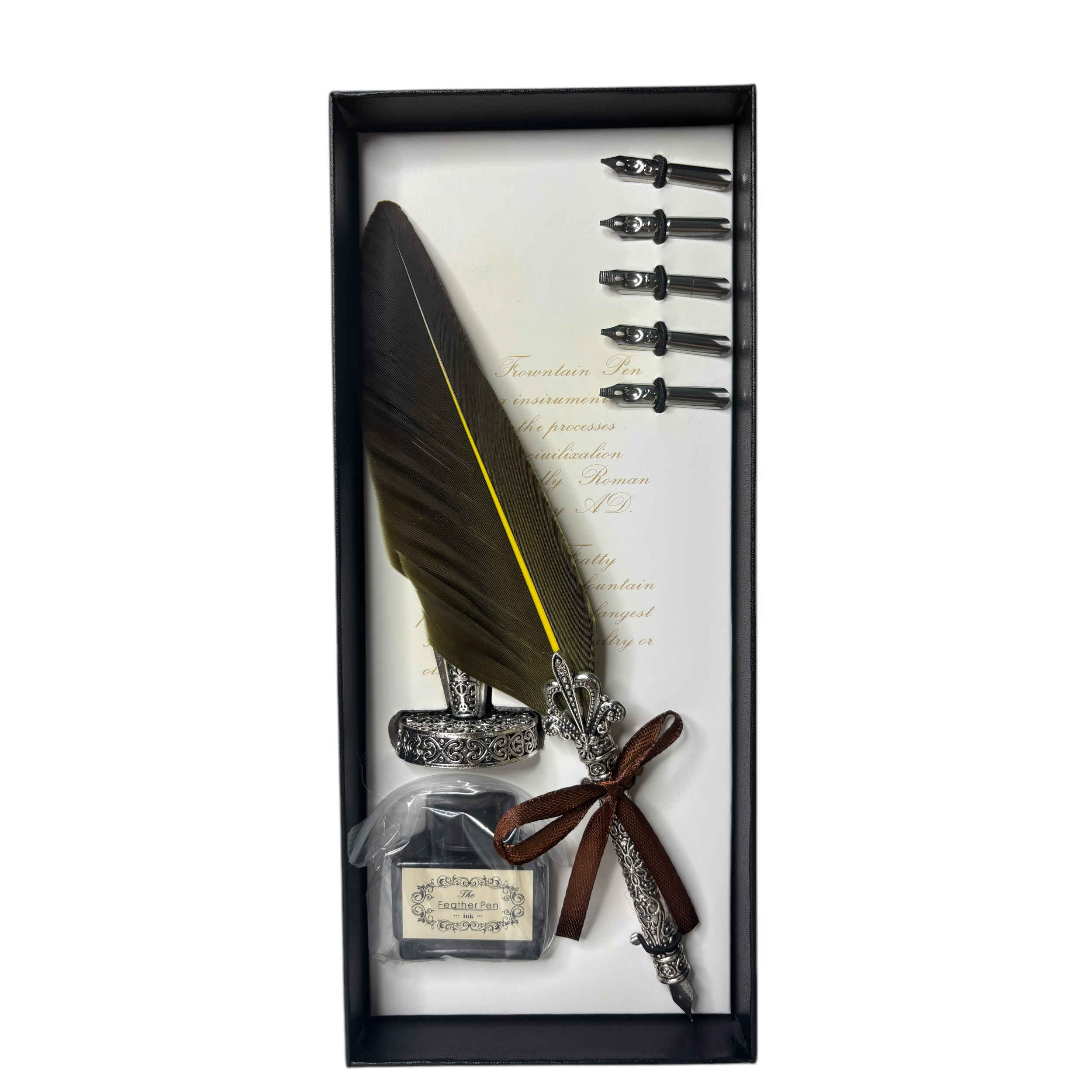 Set élégant de plumes de calligraphie pour écriture, lettres et journaux