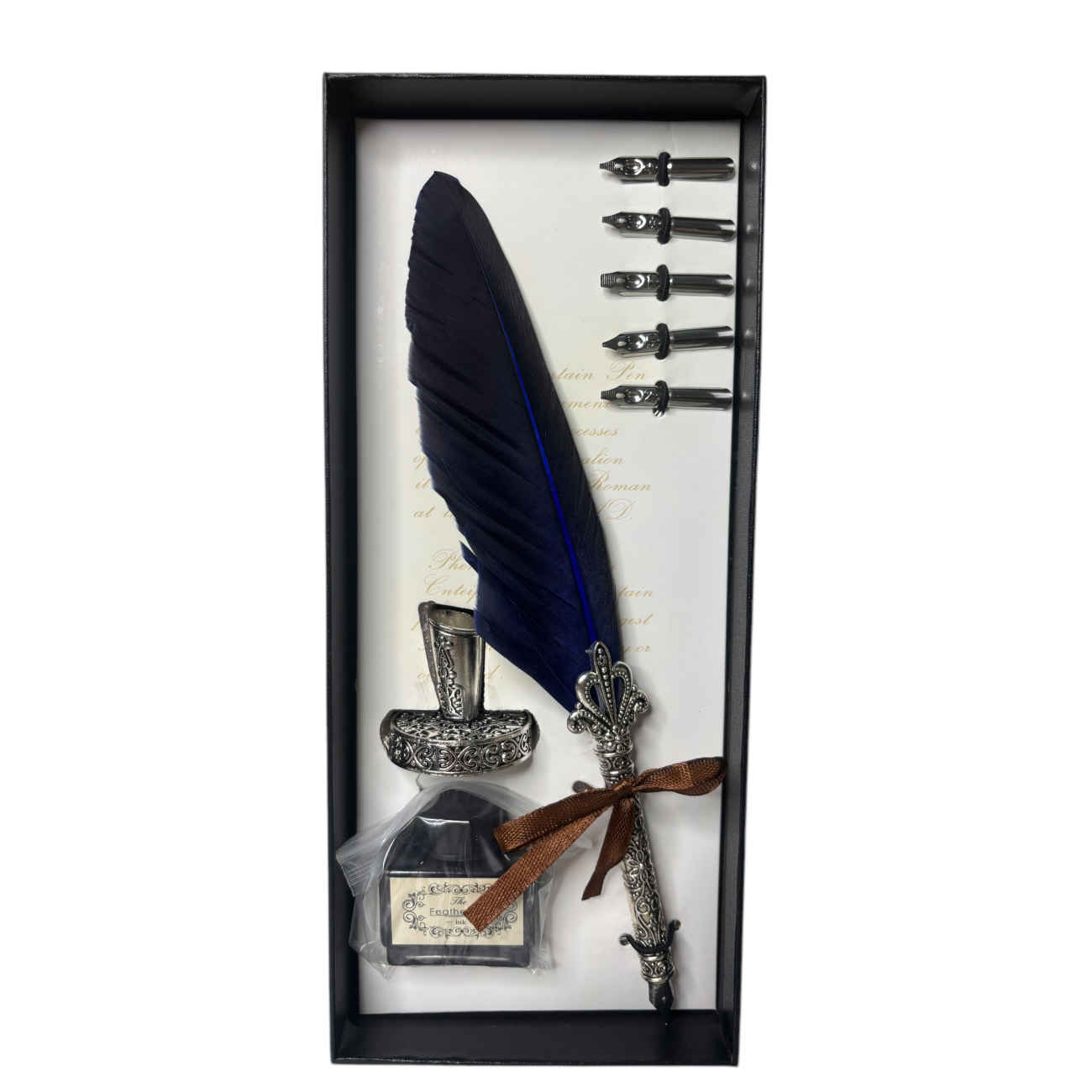 Set élégant de plumes de calligraphie pour écriture, lettres et journaux